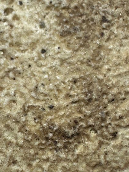 พระสมเด็จวัดระฆังพิมพ์สังฆาฏิหูช้าง ส่งตามรูป (30) รูปที่ 8