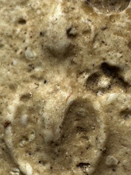 พระสมเด็จวัดระฆังพิมพ์สังฆาฏิหูช้าง ส่งตามรูป (30) รูปที่ 6