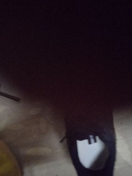 รองเท้า รูปที่ 6