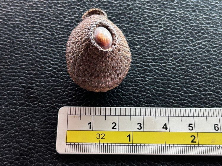 เบี้ยแก้ถักไม่ทราบที่ รูปที่ 9