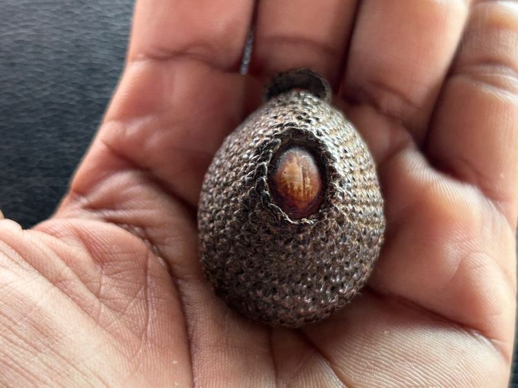 เบี้ยแก้ถักไม่ทราบที่ รูปที่ 7