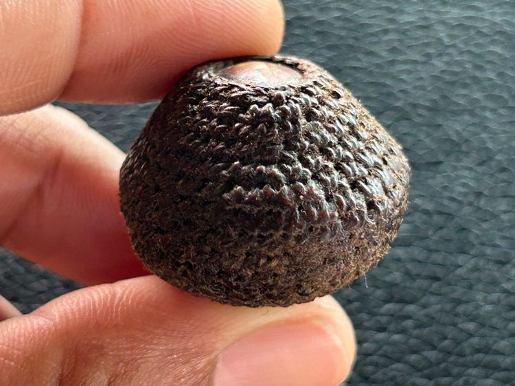 เบี้ยแก้ถักไม่ทราบที่ รูปที่ 4