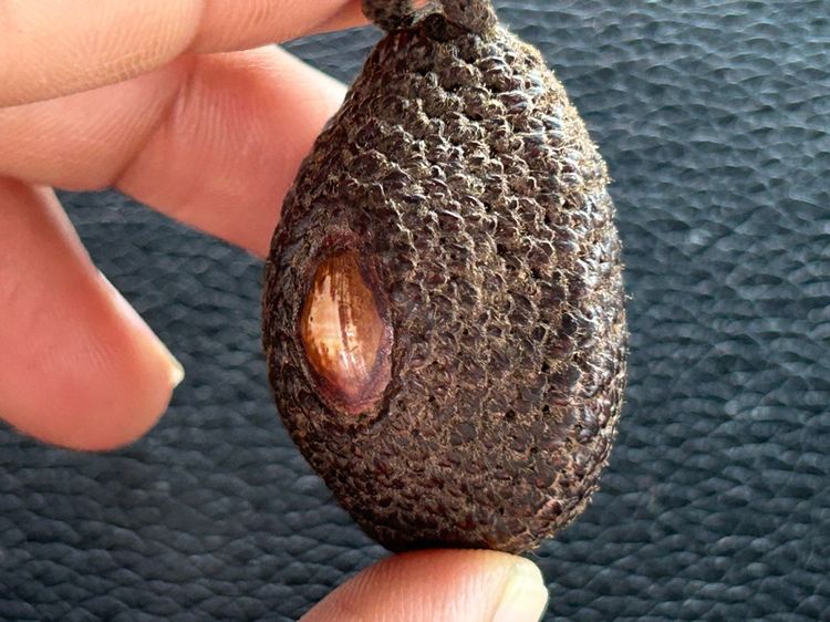 เบี้ยแก้ถักไม่ทราบที่ รูปที่ 13