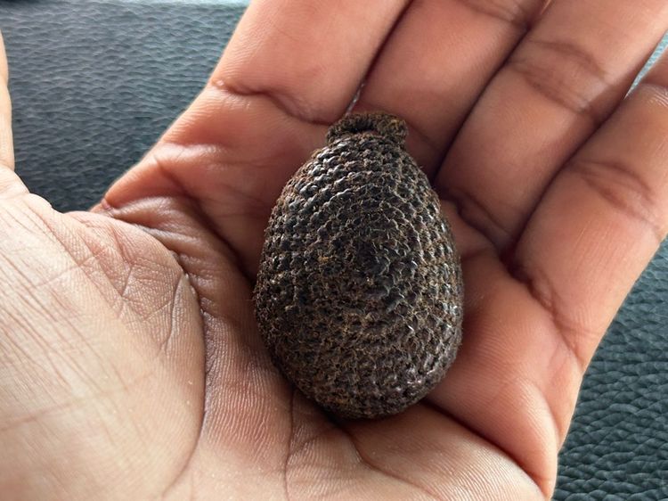 เบี้ยแก้ถักไม่ทราบที่ รูปที่ 8