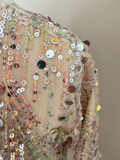 Sequin shortsleeve dress man made embroidery mesh in lined pearly circular neck รูปที่ 15