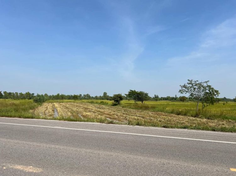 ที่ดินว่างเปล่า  มมส   รูปที่ 3