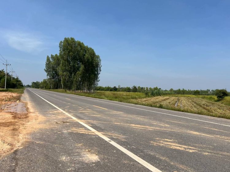 ที่ดินว่างเปล่า  มมส   รูปที่ 2