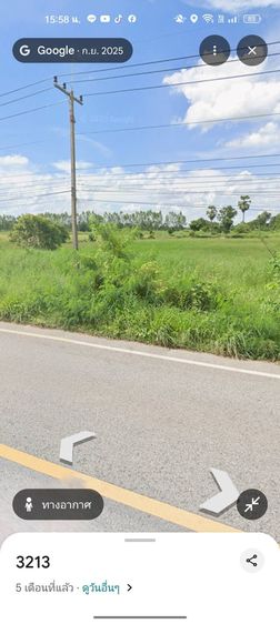 ขายที่ดิน ชัยนาท รูปที่ 2