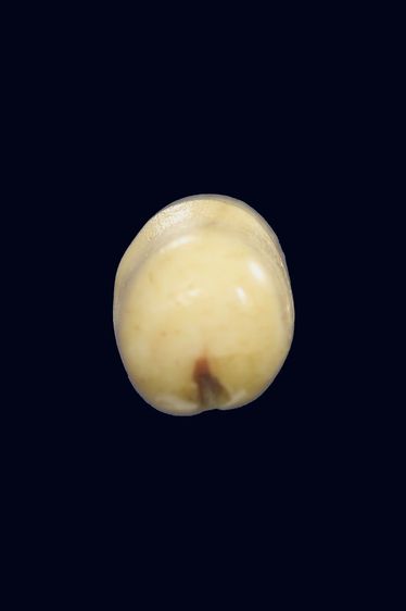 เก่าๆไม่รู้ที่ รูปที่ 5