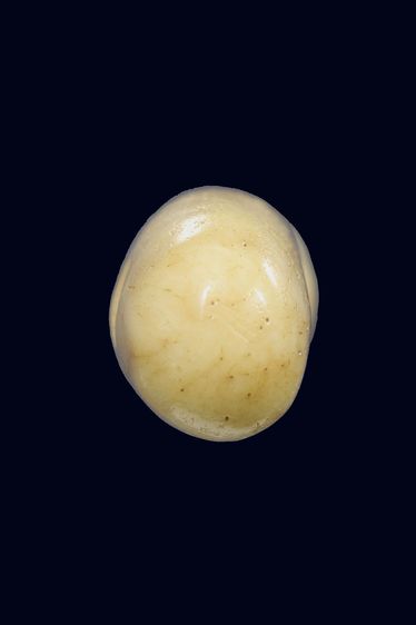 เก่าๆไม่รู้ที่ รูปที่ 6