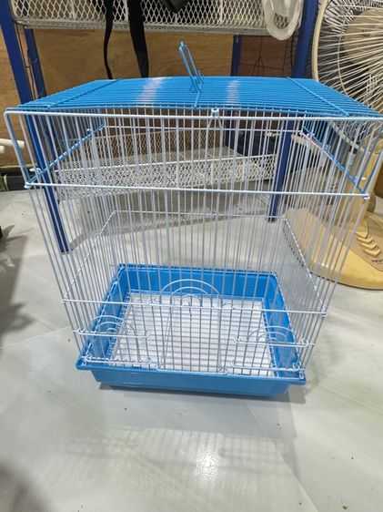 กรง คอกและประตู กรงนกแก้ว กรงพานกเที่ยว กรงนกขนาดเล็ก