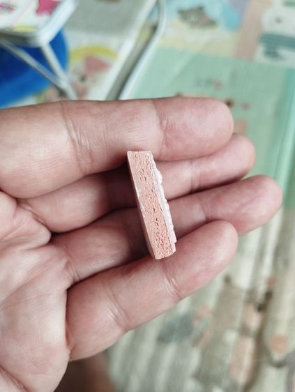 หลวงพ่อฤาษีลิงดำ วัดท่าซุง รูปที่ 5