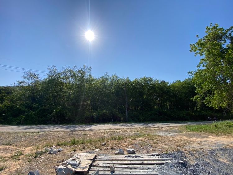 ที่ดินเกาะยาว 