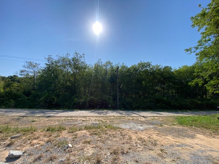 ขายที่ดิน เกาะยาว