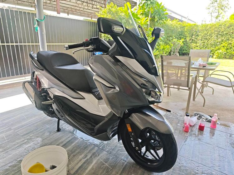 Forza300 2019 รูปที่ 4