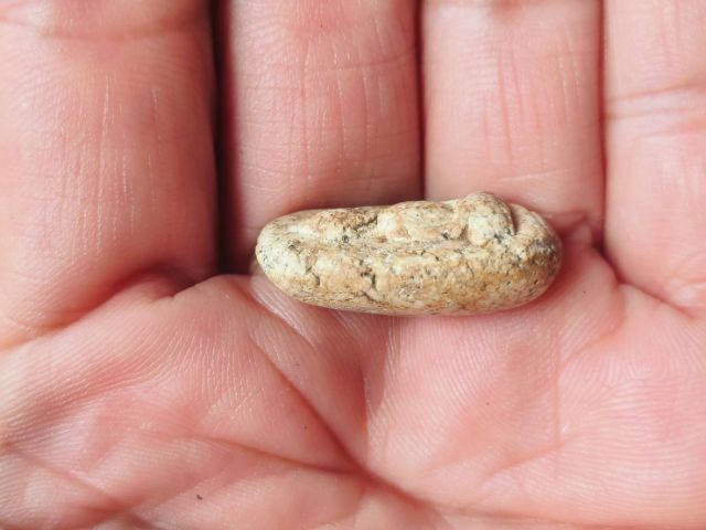 วัดพลับพิมพ์สมาธิ รูปที่ 5