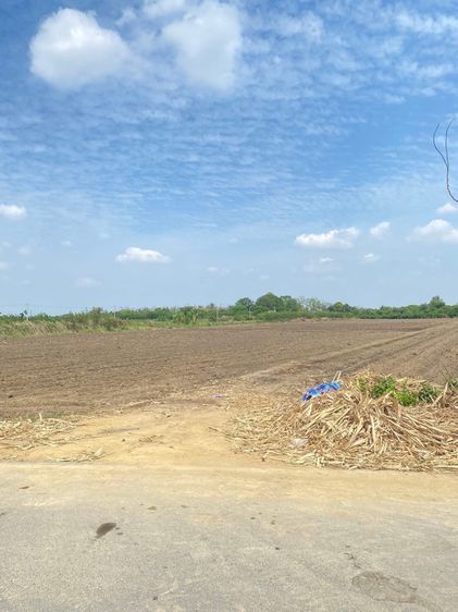 ที่ดิน 2 ไร่ 2 งาส รูปที่ 4