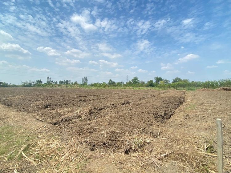 ที่ดิน 2 ไร่ 2 งาส