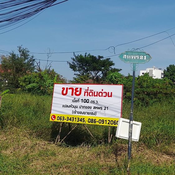 ที่ดิน 100 ตร.ว. รูปที่ 2