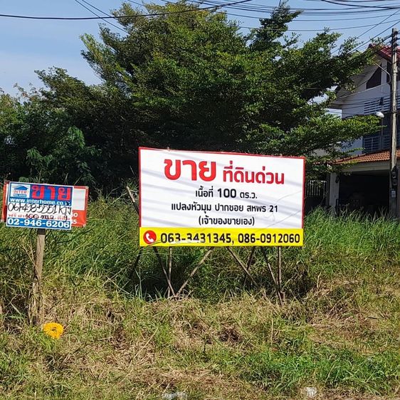 ที่ดิน 100 ตร.ว.