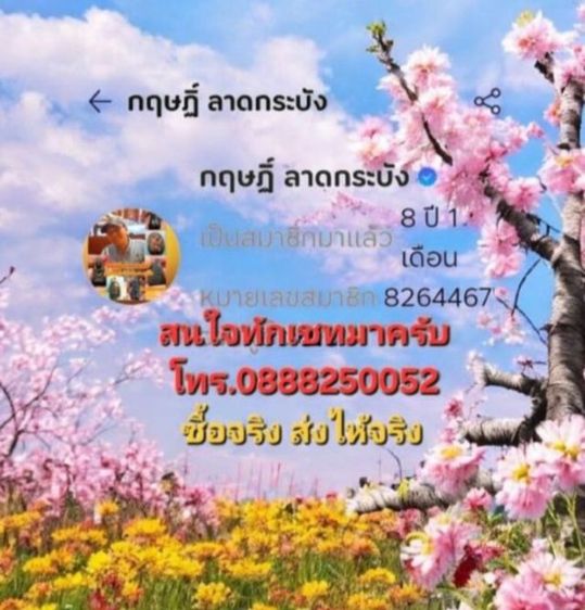 พระร่วงนั่ง เนื้อชินเขียว เก่ามาก  รูปที่ 10