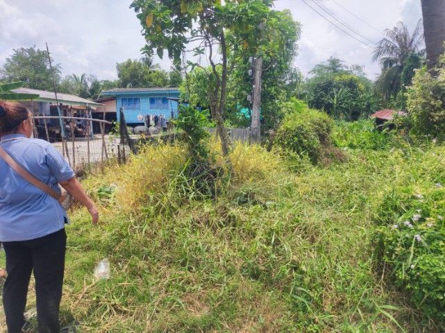 ใช่ ขายที่ดินเปล่า 50 ตรว. พื้นที่แขวงหนองจอก กรุวเทพฯ รูปที่ 3