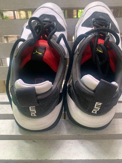 puma  รูปที่ 4