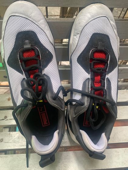 puma  รูปที่ 3