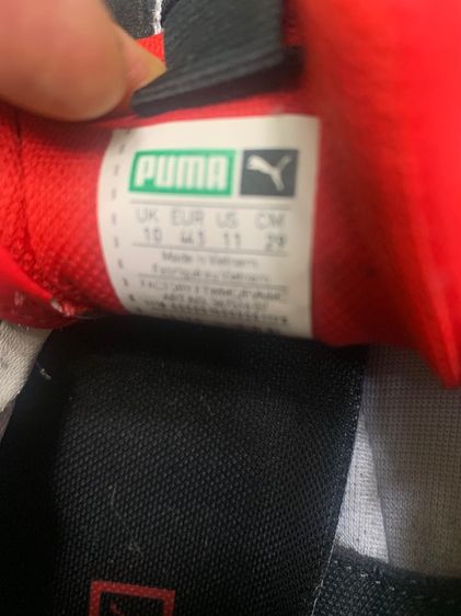 puma 