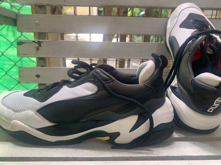 puma  รูปที่ 5