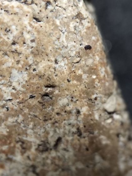 พระสมเด็จครับ รูปที่ 10