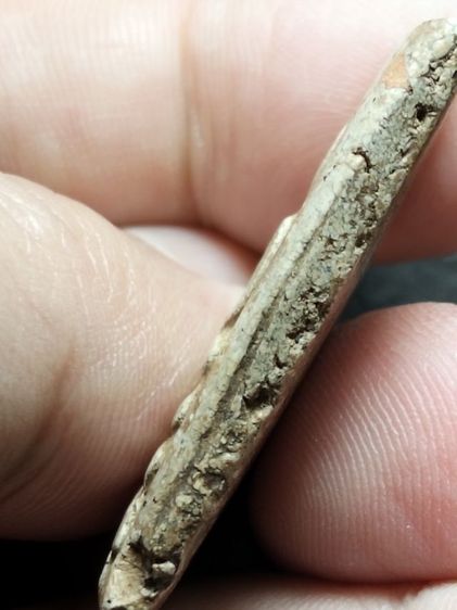 พระสมเด็จครับ รูปที่ 8