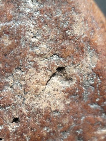 พระกำแพงซุ้มกอครับ รูปที่ 12