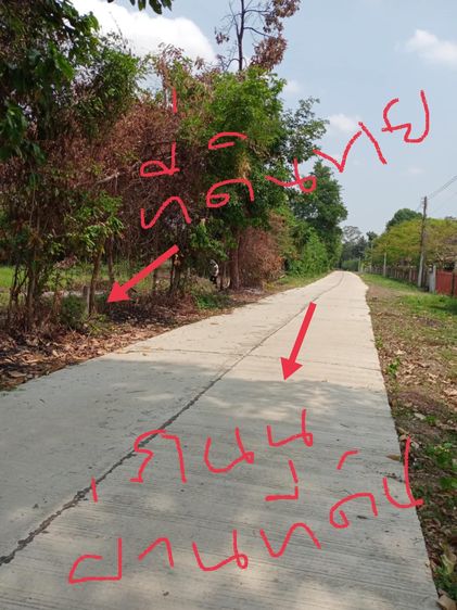ขายที่ดิน1ไร่ ปลูกบ้านทำสวนในเขตชุมชนมีเพื่อนบ้าน