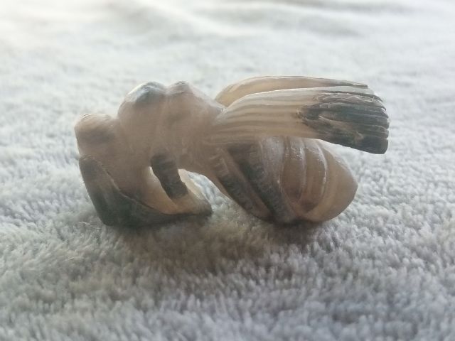 แมลงภู่คำ (เขาควายเผือกแกะ) รูปที่ 8