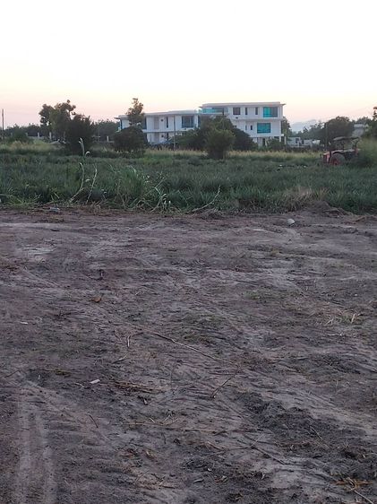 ขายที่ดินราคาถูก ทำเลทอง 4ไร่73 ตรว ต.มะขามคู่ อ.นิคมพัฒนา จ.ระยอง รูปที่ 2