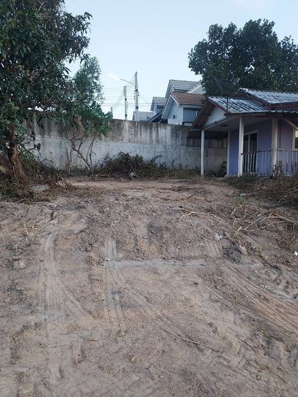 ขายที่ดินราคาถูก ทำเลทอง 4ไร่73 ตรว ต.มะขามคู่ อ.นิคมพัฒนา จ.ระยอง รูปที่ 3