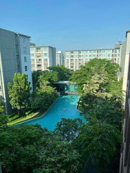  D condo ping 