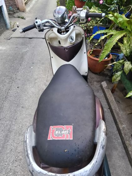 ฟีโน่ มีคลิป รูปที่ 3