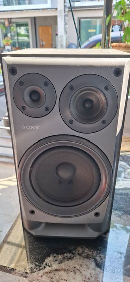 ลำโพง รูปที่ 6