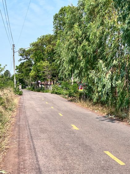 ขายถูกยกแปลง ที่ดิน 11 ไร่ บ้านพันนาสว่างแดนดิน ตกไร่ละ 2.6 แสน ห่างถนนหลักไม่ถึงกิโล ทำเลสวยมาก รูปที่ 3