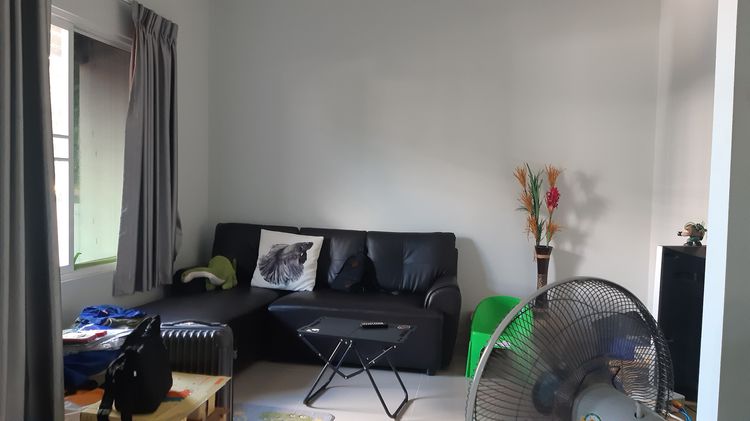 Areeya Property มีบางส่วน 2016 ขายบ้านทาวน์เฮาส์ 20 ตรว. โครงการอารียา ไทรน้อย เฟส 5 (เจ้าของขายเอง) ไม่รับนายหน้า รูปที่ 2