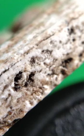 พระสมเด็จ วัดระฆัง บางขุนพรหม วัดเกศไชโย หลวงปู่ภู หลวงปู่นาค รูปที่ 17