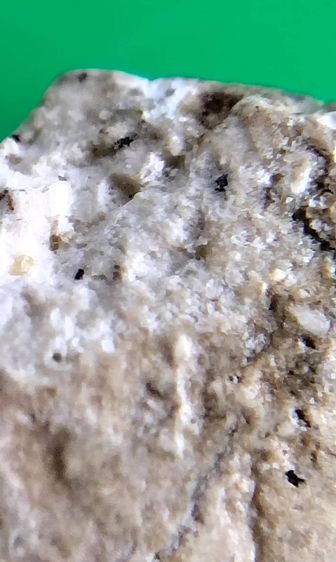 พระสมเด็จ วัดระฆัง บางขุนพรหม วัดเกศไชโย หลวงปู่ภู หลวงปู่นาค รูปที่ 11