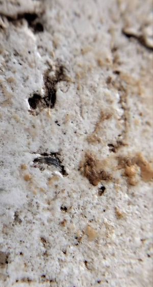 พระสมเด็จ วัดระฆัง บางขุนพรหม วัดเกศไชโย หลวงปู่ภู หลวงปู่นาค รูปที่ 18