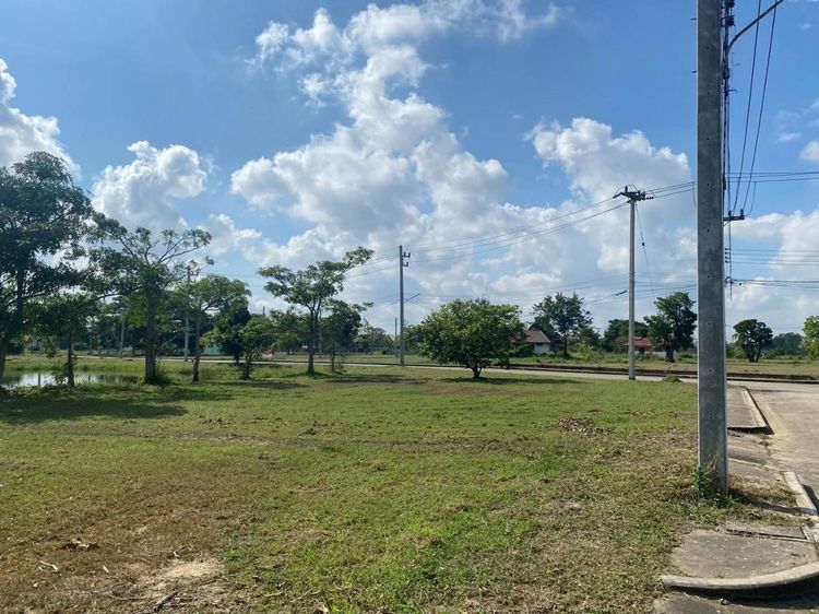 ที่ดินใกล้เมืองเชียงใหม่ ห่างจากเซ็นเฟส 10 นาที แปลงมุมติดเลคใหญ่ ถนนสาธารณะกว้าง ใกล้ฟิตเนตน้ำไม่ท่วม