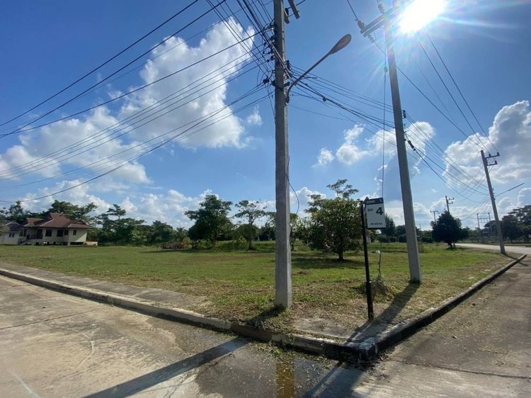 ที่ดินใกล้เมืองเชียงใหม่ ห่างจากเซ็นเฟส 10 นาที แปลงมุมติดเลคใหญ่ ถนนสาธารณะกว้าง ใกล้ฟิตเนตน้ำไม่ท่วม รูปที่ 2