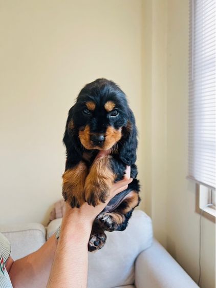 ช3 ญ3 รูปที่ 8