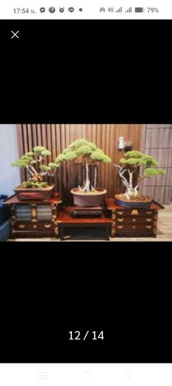 โต๊ะ ตู้ ไม้เกาหลี รูปที่ 11