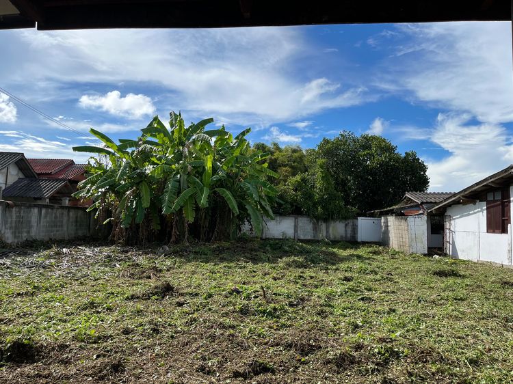 ที่ดินในชุมชน ใกล้เมือง เชียงใหม่ สันป่าตอง รูปที่ 3